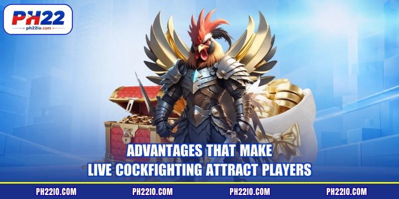 Advantages that make live cockfighting attract players