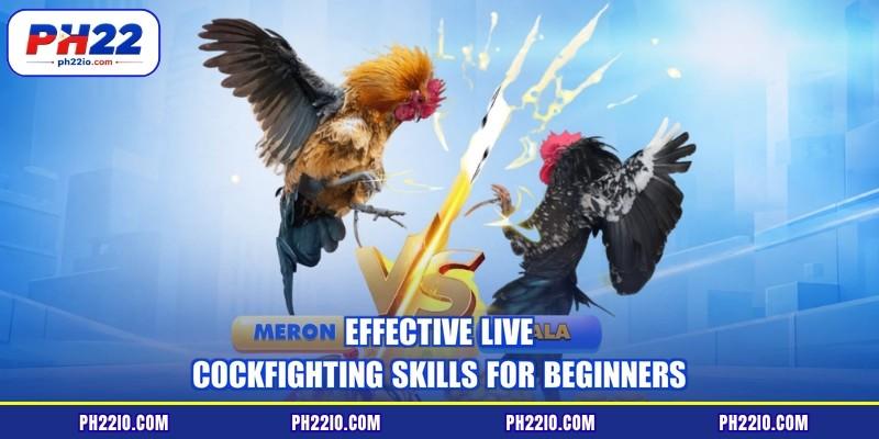 Effective live cockfighting skills for beginners
