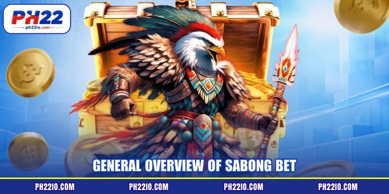General overview of sabong bet