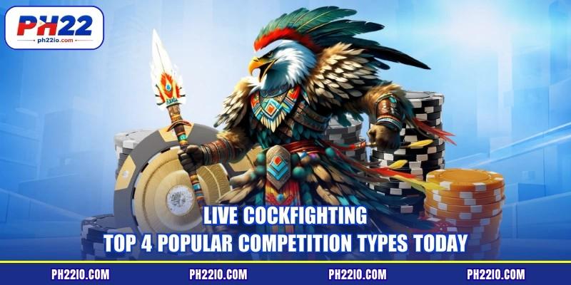 Live Cockfighting - Top 4 Popular Competition Types Today