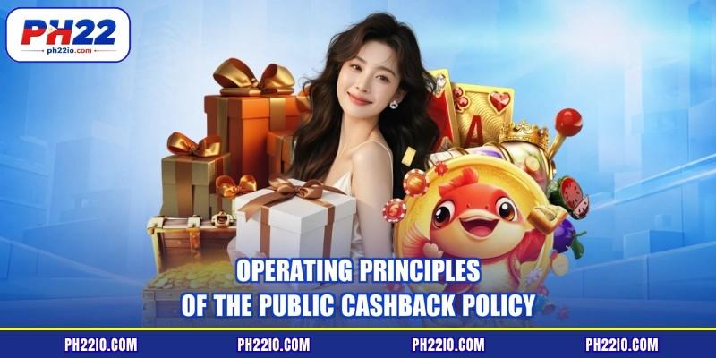 Operating principles of the public cashback policy