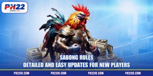 Sabong Rules - Detailed And Easy Updates For New Players