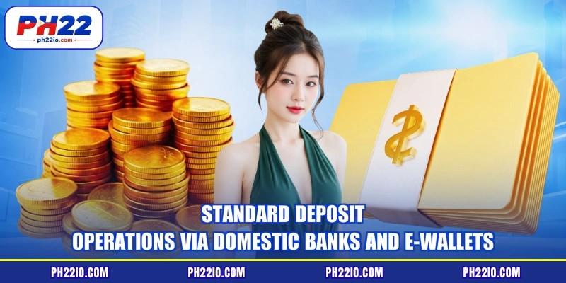 Standard deposit operations via domestic banks and e-wallets