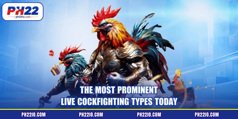 The most prominent live cockfighting types today